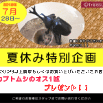 岡山県倉敷トレジャー夏休み特別企画